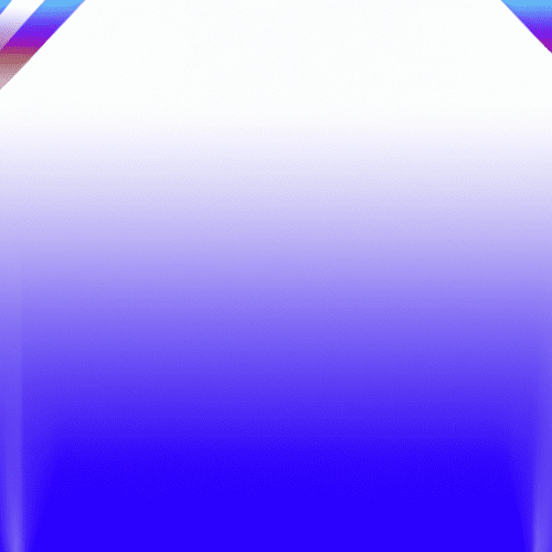 How Professional Translation Services Support Multilingual Political Communication